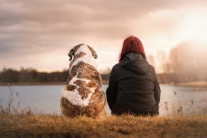 Do Dogs Worry About Their Owners?